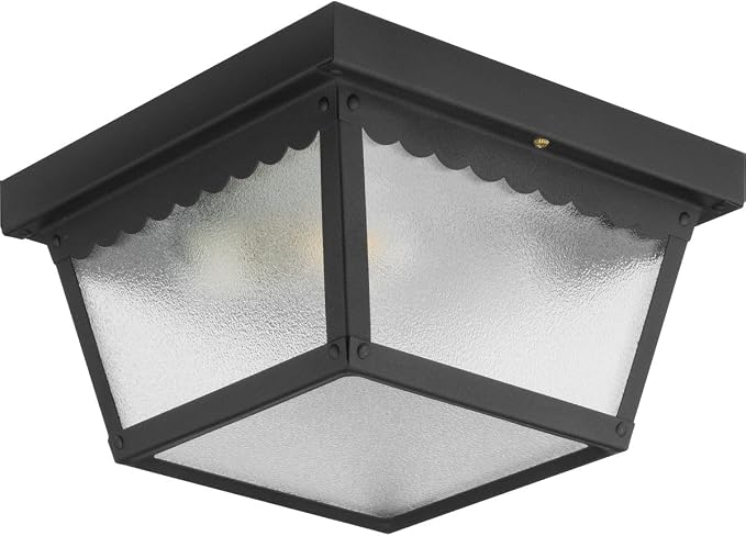 61UcoGzMObL._AC_SX679_.jpg Progress Lighting 2-Light Indoor and Outdoor Flush Mount Ceiling Light, Interior and Exterior Ceiling-Mount Light Fixture for Porch Light, Patios, Garages, Hallways, Metal, 9-1/4 - Image 1